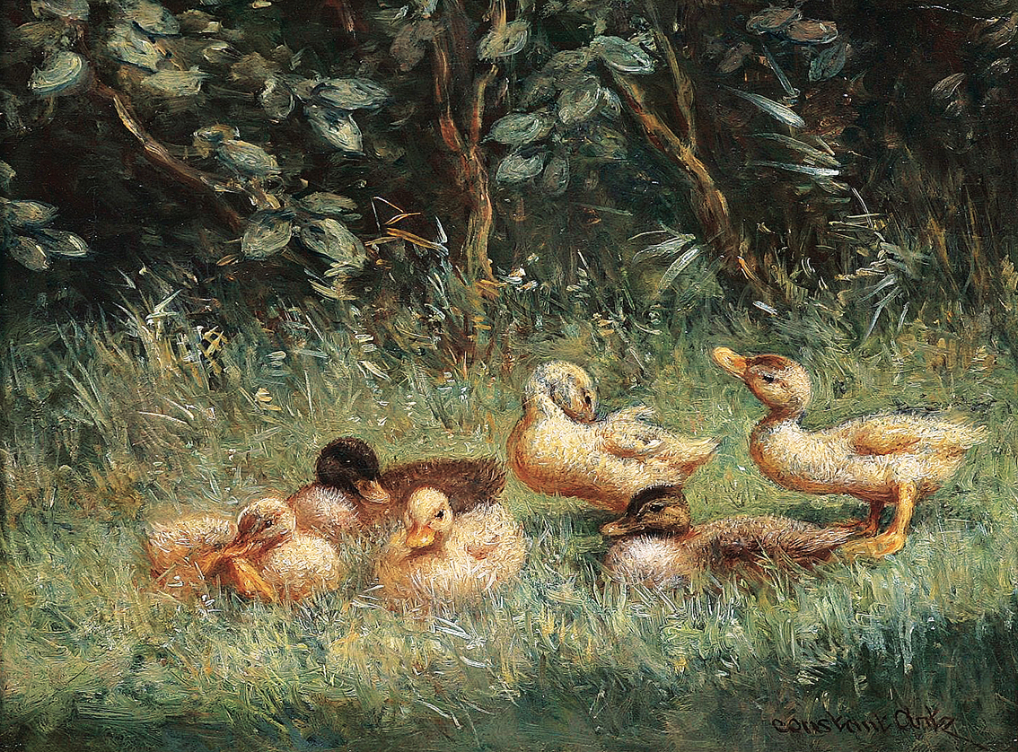 Six ducklings in the grass