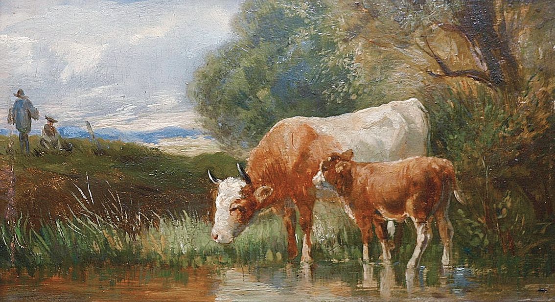 Kuh und Kalb am Wasser