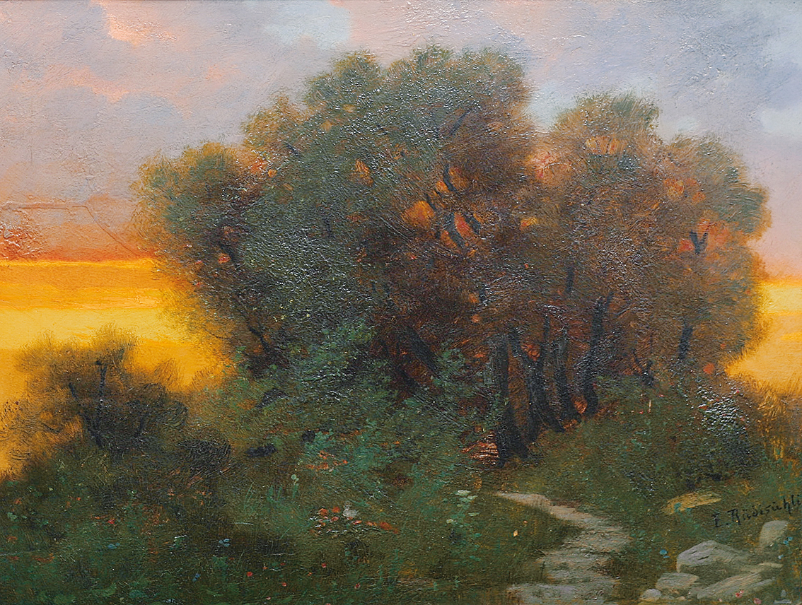 Weg und Bäume bei Sonnenuntergang