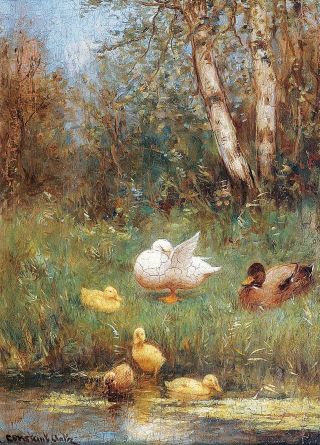 A duck family at the water