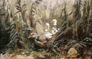 Three ducks in the reed