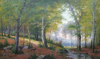 The forest edge in a hilly landscape