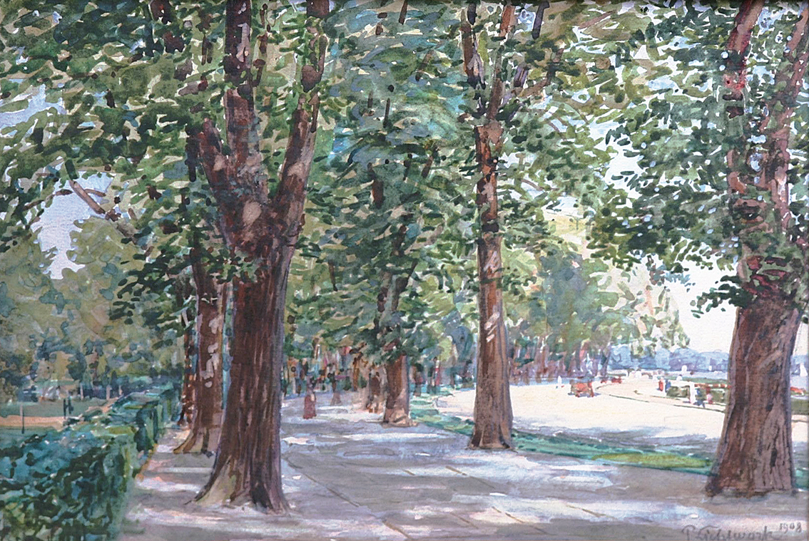 A tree-lined road on the Alster