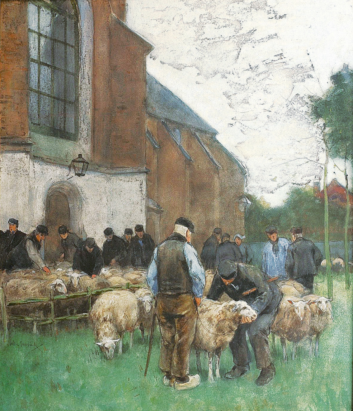 Sheep on the market
