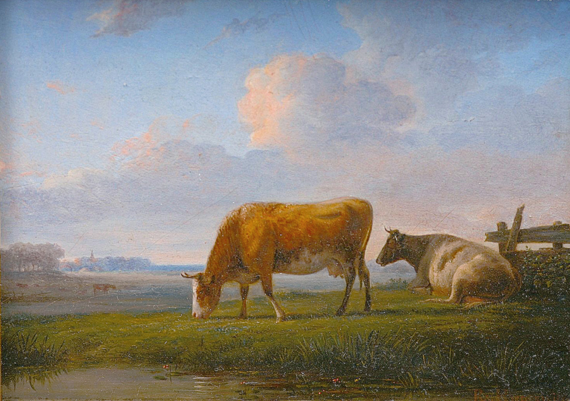 Weidende Kühe in einer Polderlandschaft