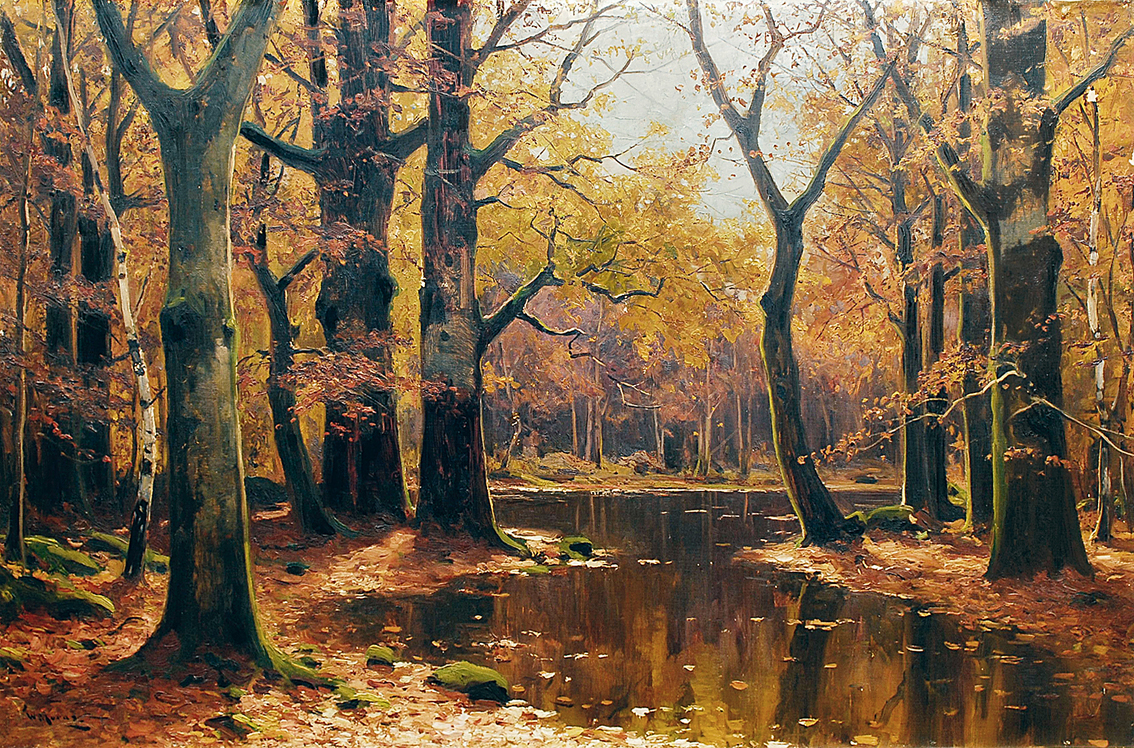 A wooded landscape with a pond