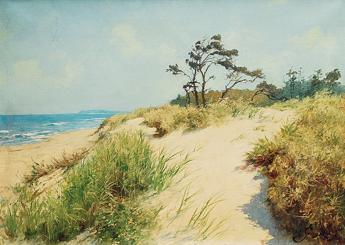 Dunes at the beach