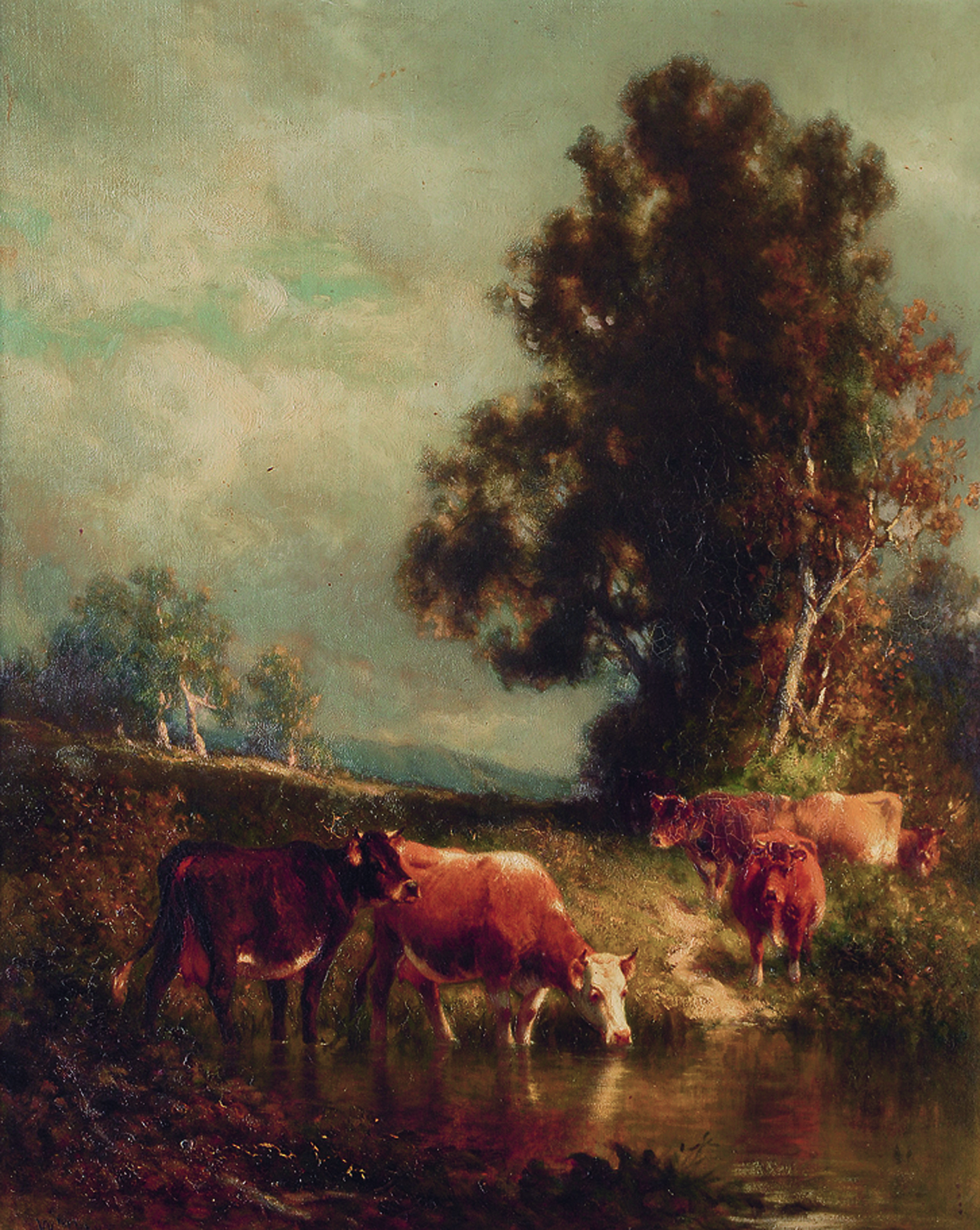 Cows near the water