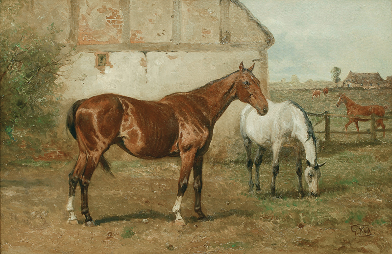 A grey horse and a chestnut