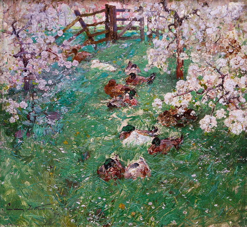 Ducks in the Orchard