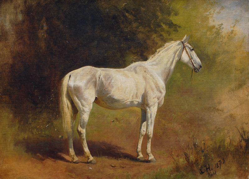 Ludwig Hartmann - Portrait eines Schimmels Portrait eines Schimmels
