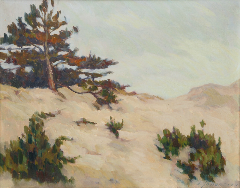 View on the Dunes