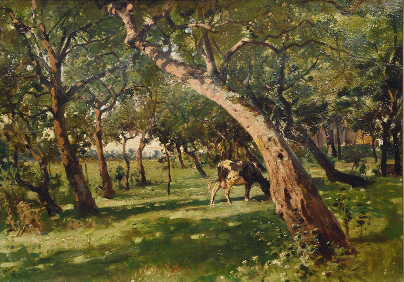 Garden with Trees