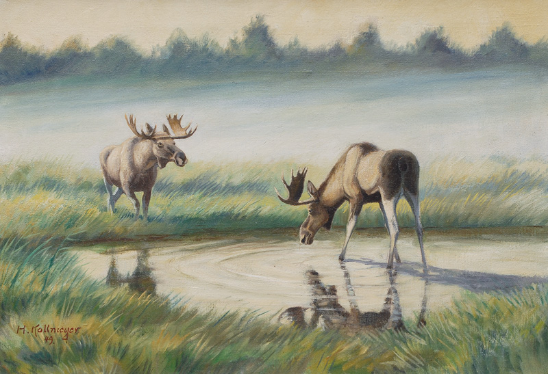 Elks at a Watering Hole in East Prussia