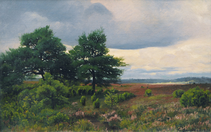 The Lüneburg Heath near Wilsede