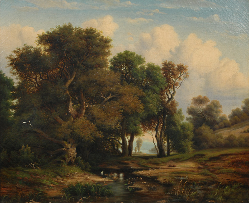 Idyllic Forest with Beck