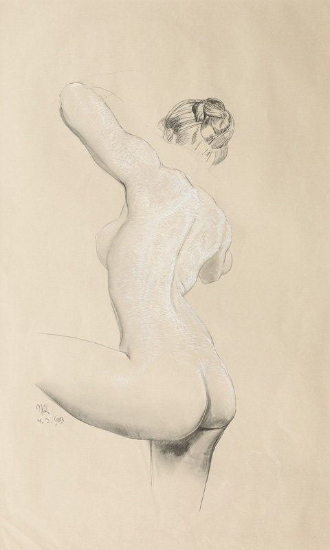 Back View of a Nude