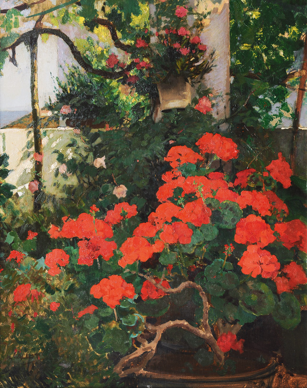 Henri-Eugène Callot - Blooming Geraniums Blooming Geraniums