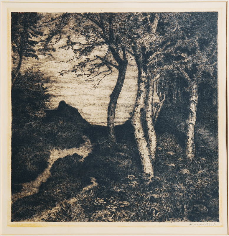 Hans am Ende - Kate und Birken im Moor Kate und Birken im Moor