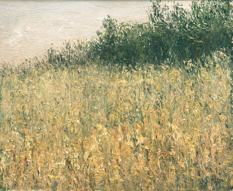 Carl Arp - Feldrain Feldrain