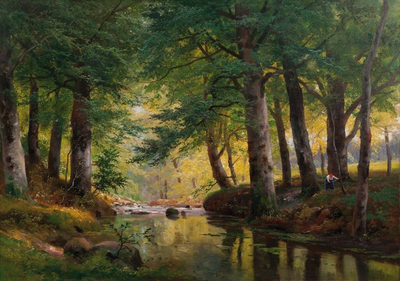 Creek in a Forest