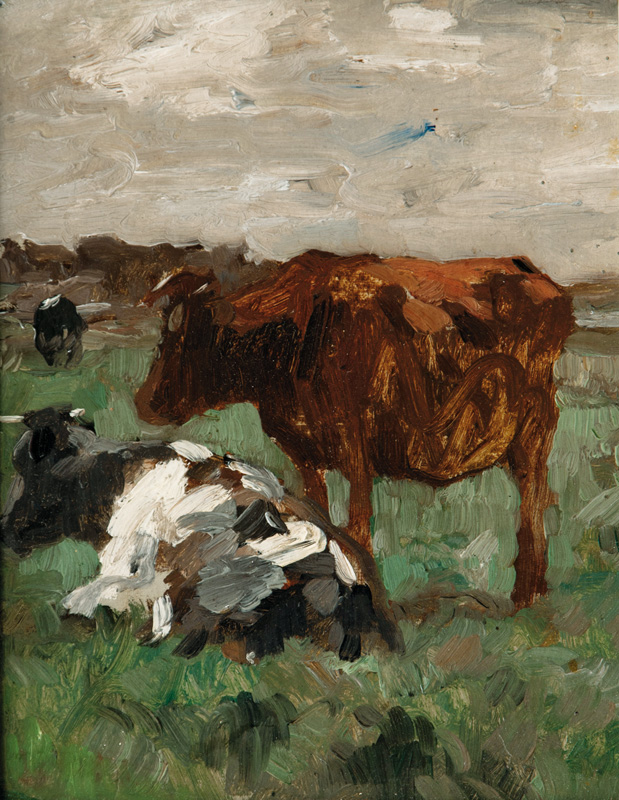Cows on a Meadow