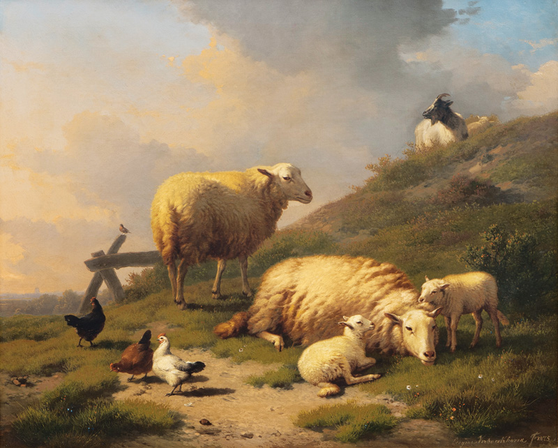 Schafe mit Lämmer, Ziegen und Hühner