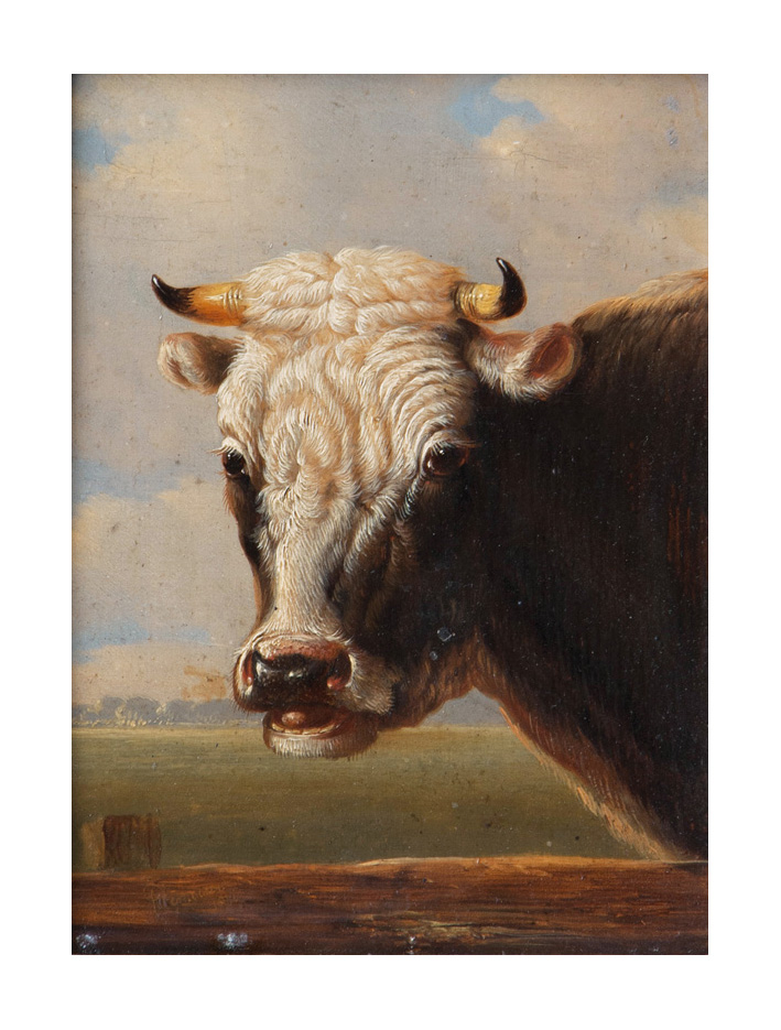 Albertus Verhoesen - Head of a Cow Head of a Cow