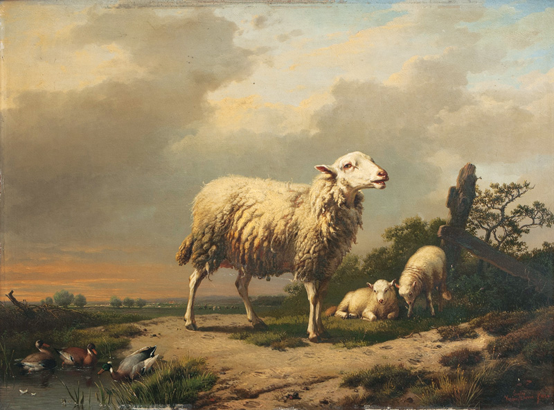 Eugène Verboeckhoven - Sheep with Lambs and Ducks Sheep with Lambs and Ducks
