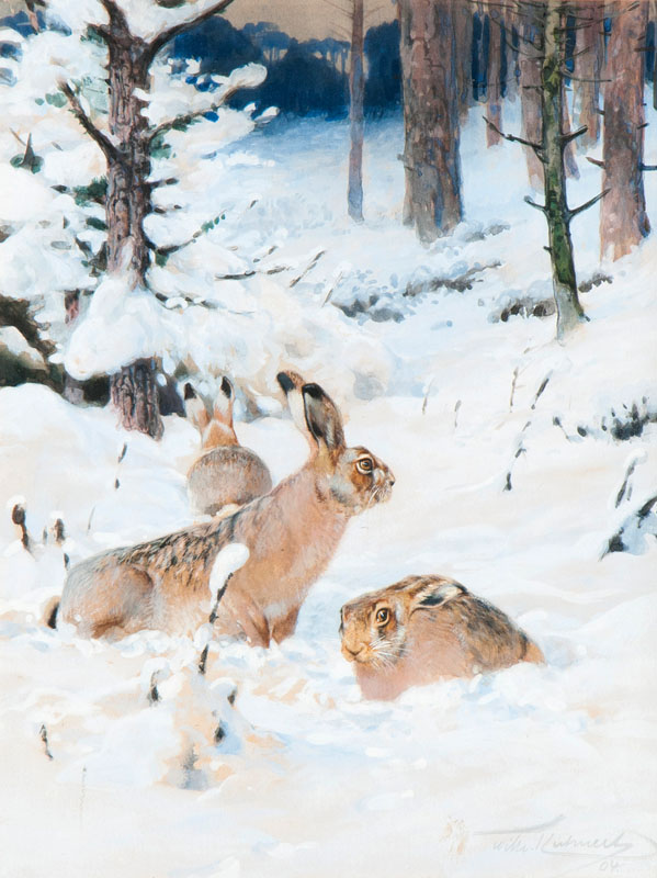 Hares in the Snow