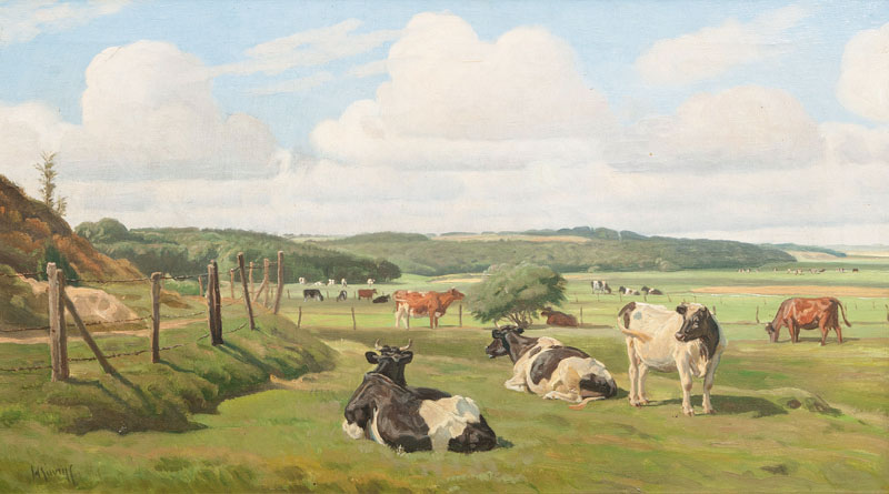 Cows on a Meadow