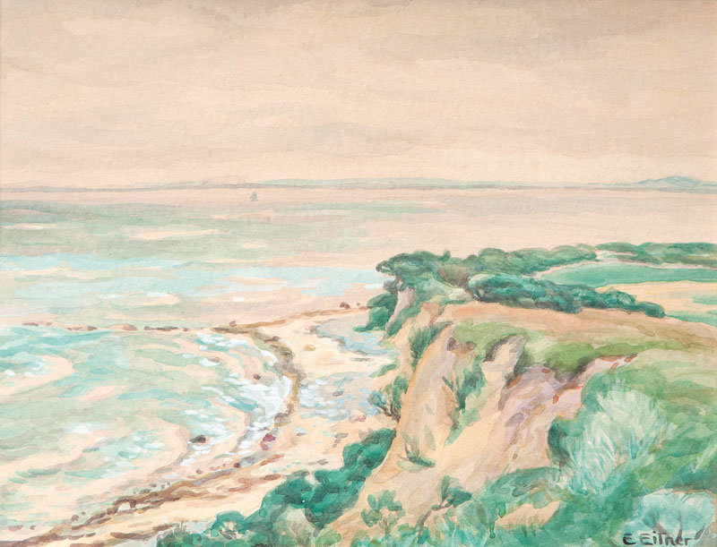 Coast of Hiddensee