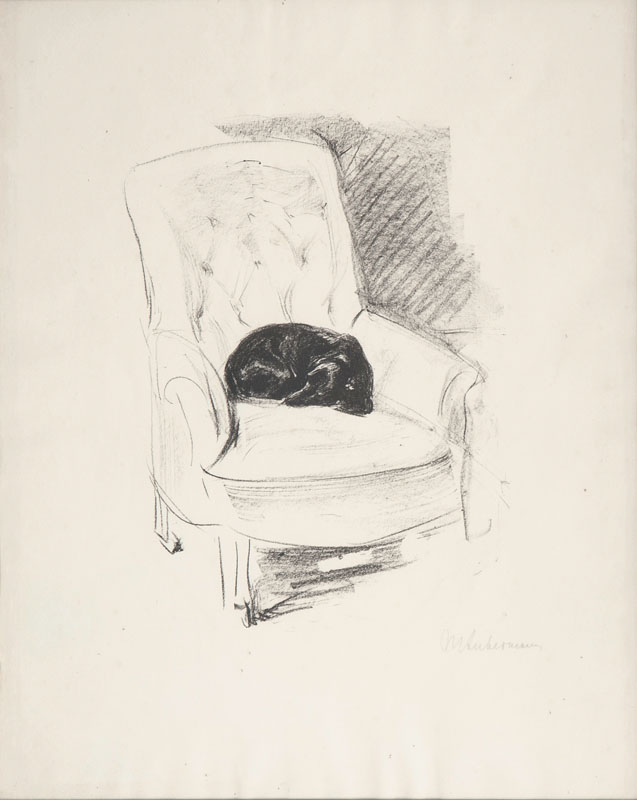Dog on a Chair