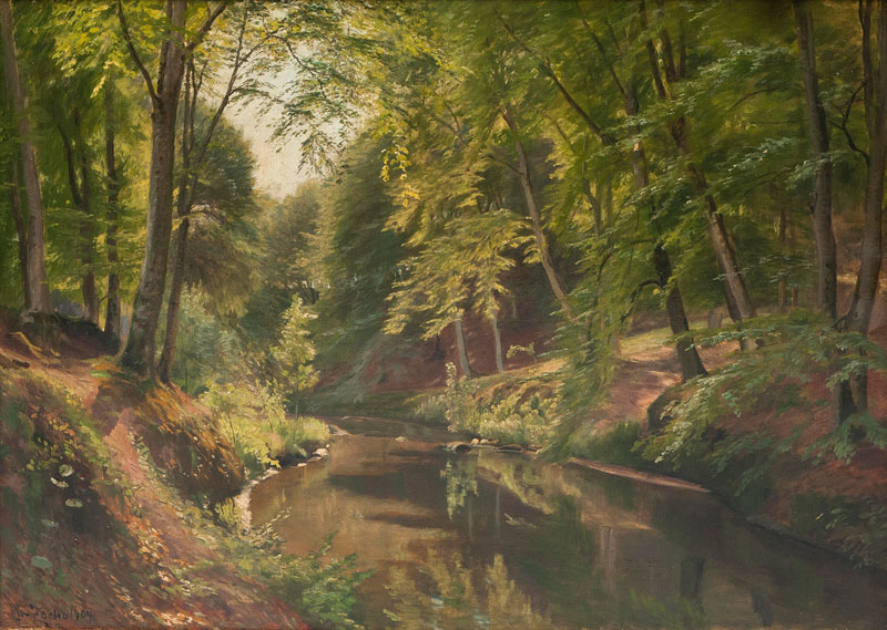 River in a Wood