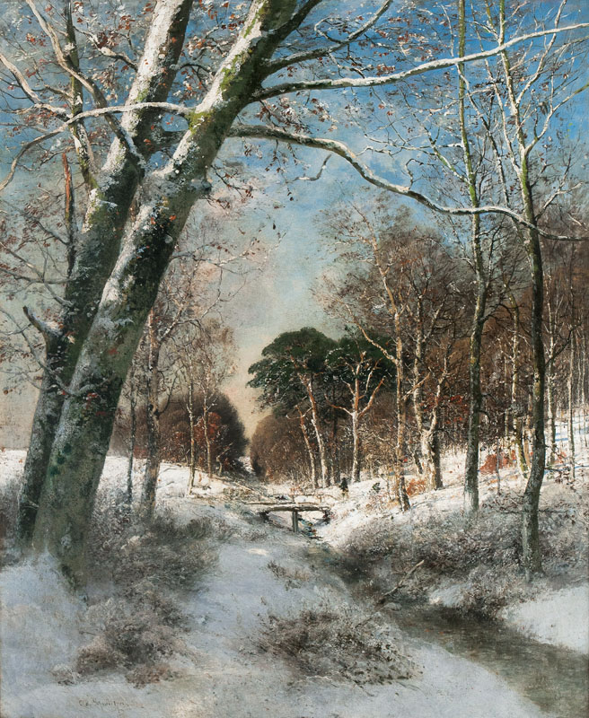 Wintry Forest
