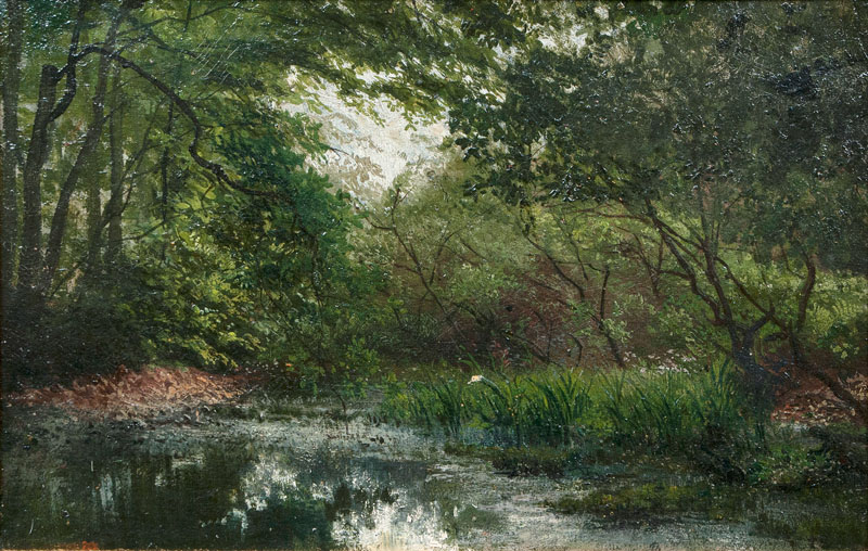 Forest Interior with Creek