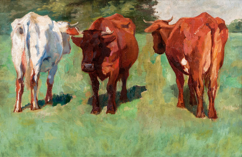 Drei stehende Kühe