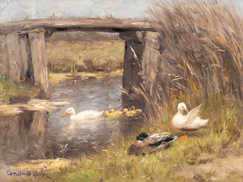 Ducks under a Bridge