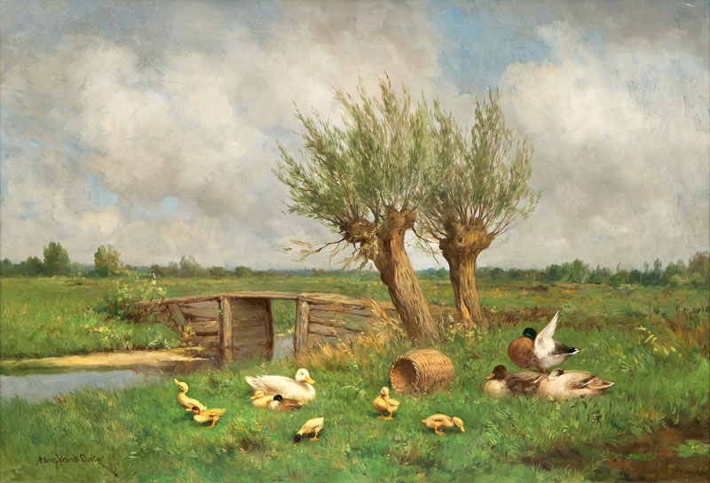 Resting Ducks