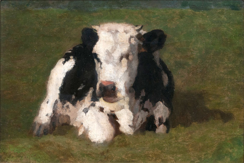 Resting Calf