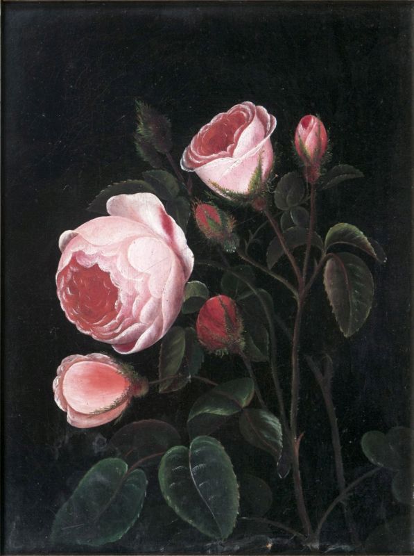 Roses