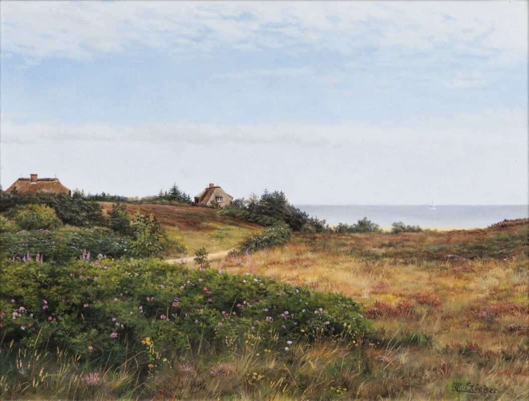 Sommermorgen in der Braderuper Heide auf Sylt