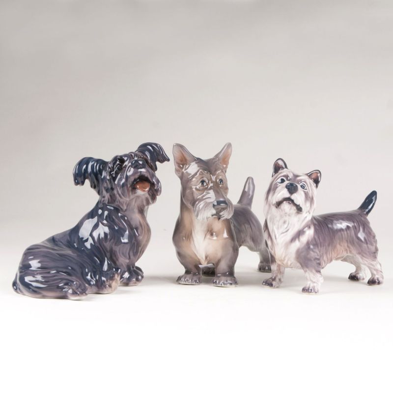 A set of 3 porcelain figures 'Cairn terrier, Scottish terrier and Skye terrier'