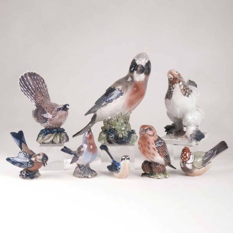 Satz von 8 verschiedenen Porzellan-Vogelfiguren