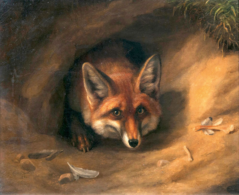 Fuchs in seinem Bau