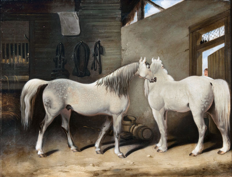 Two Grays in the Stable