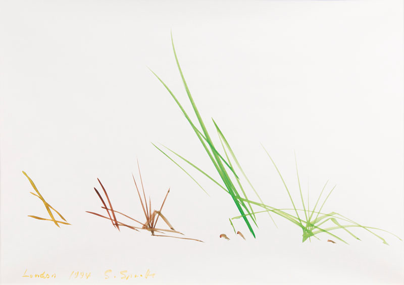 Siegward Sprotte - Grass Grass