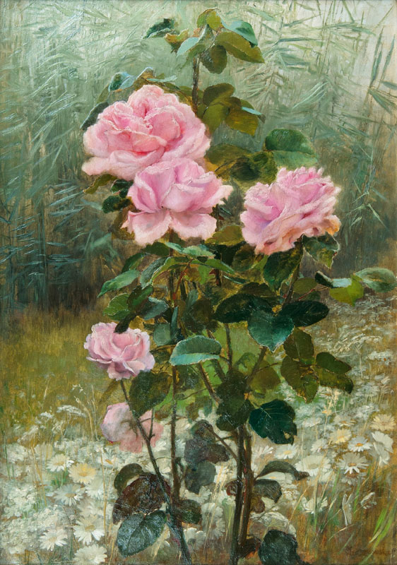 Blühende Rosen