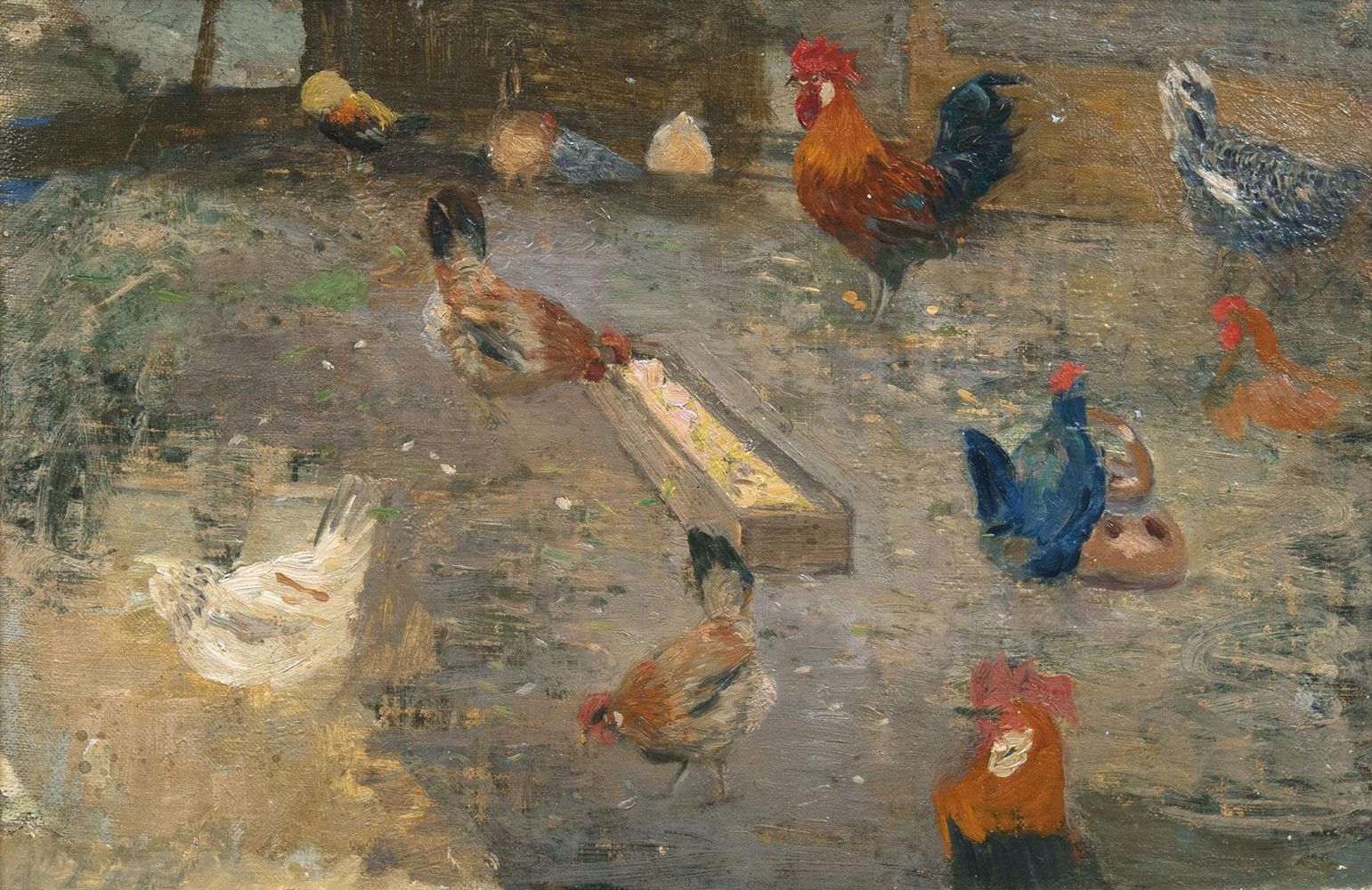 Cocks and Hens