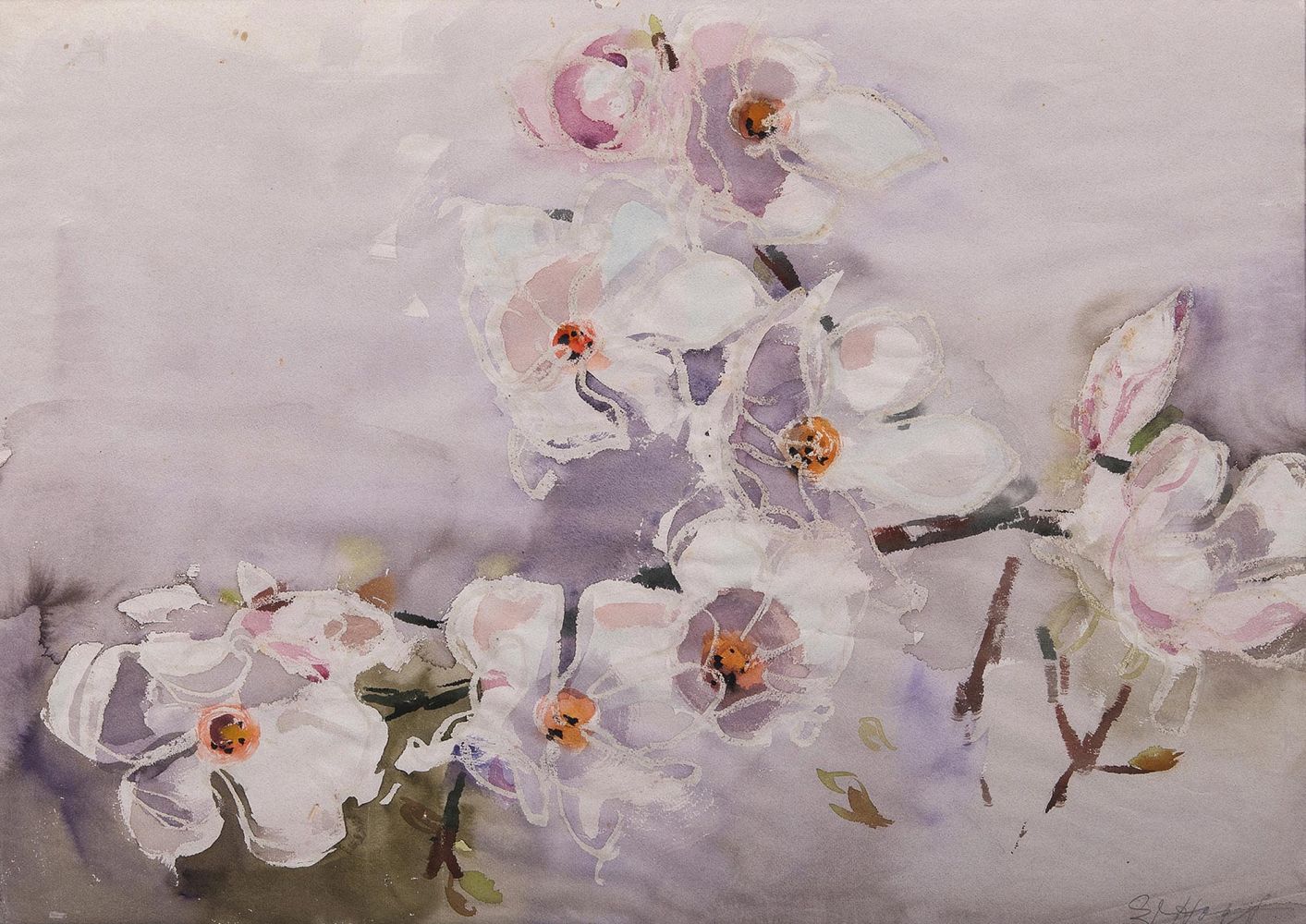 Eduard Hopf - Magnolias Magnolias